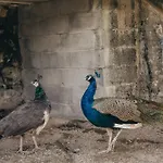 Casa Da Carvalha * Vale de Cambra