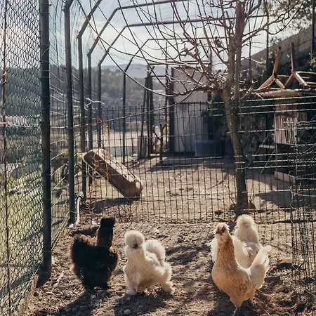 Holiday home Casa Da Carvalha