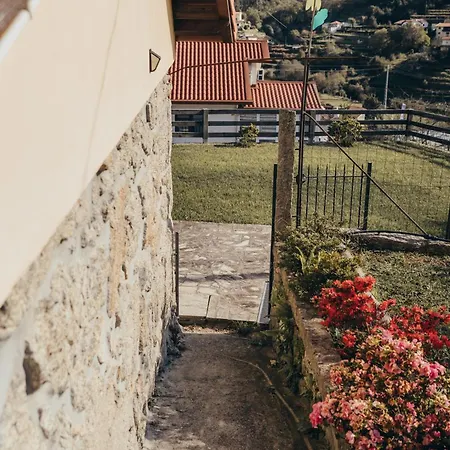 Casa Da Carvalha Holiday home Vale de Cambra