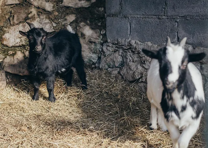 Casa Da Carvalha 度假居 *