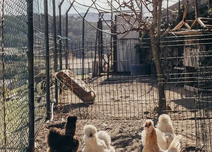 בית נופש Casa Da Carvalha